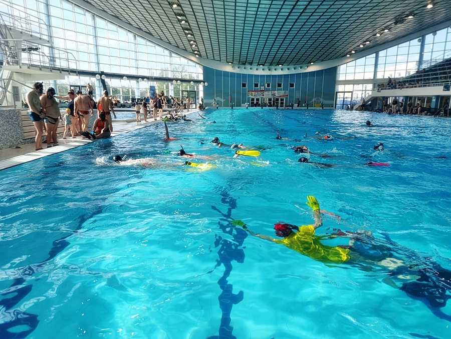 Hokej pod wodą Walenie Czeskie Budziejowice Bud Pig Cup 2025